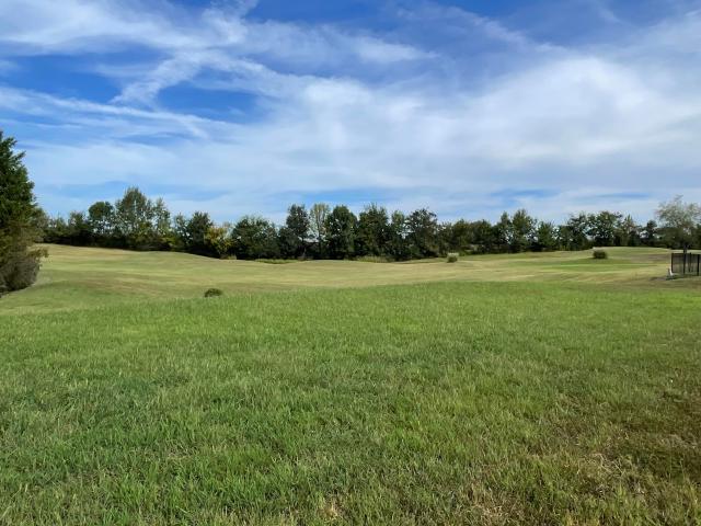 Land for sale in Cadiz, Trigg County