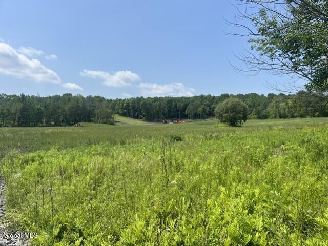 Land for sale in Town of Carlisle, Schoharie County