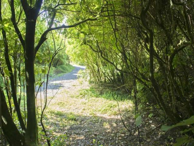 Property for sale in Matata, Wellington