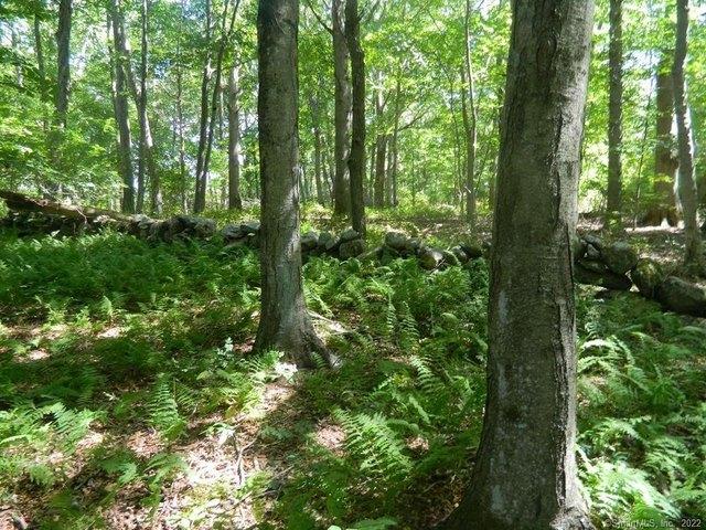 Land for sale in Old Lyme, Connecticut