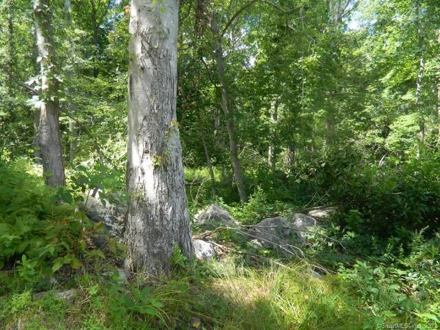 Land for sale in Old Lyme, Connecticut