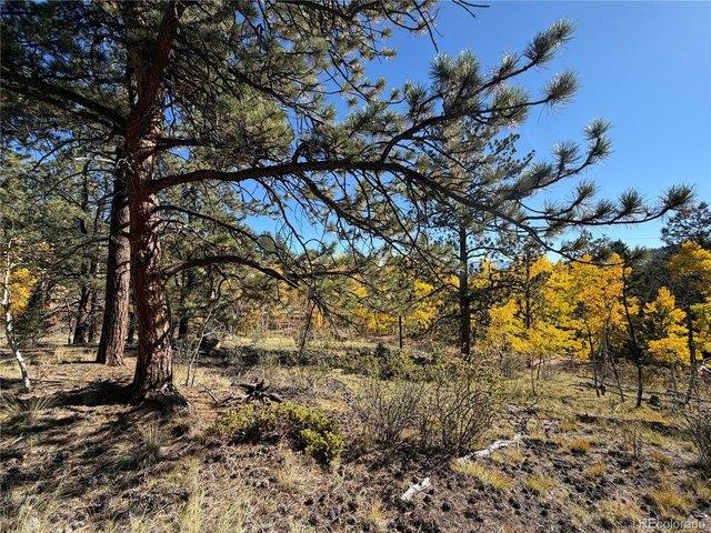 Land for sale in Guffey, Park County