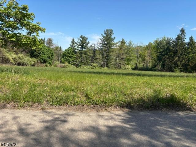 House for sale in Neshanic Station, New Jersey