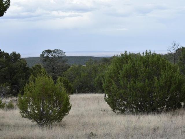 Land for sale in Edgewood, New Mexico