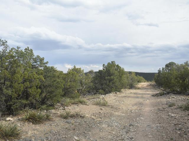 Land for sale in Edgewood, New Mexico