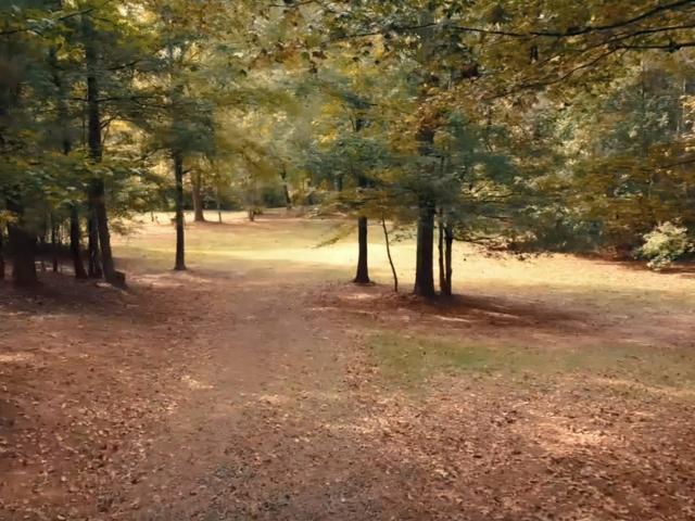 Land for sale in Georgia