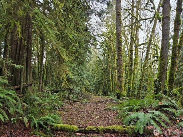 Land for sale in Arlington, Snohomish County
