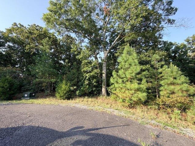 Land for sale in Murray, Kentucky