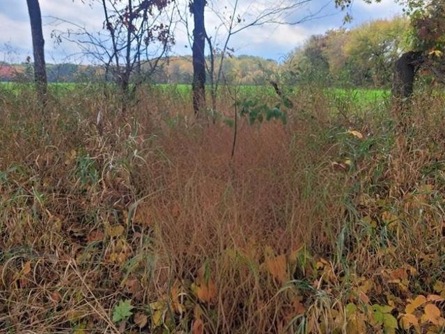 Land for sale in Sand Lake, Michigan