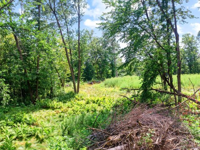 Land for sale in Cedar, Minnesota
