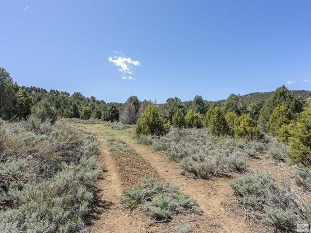 Land for sale in Reno, Nevada