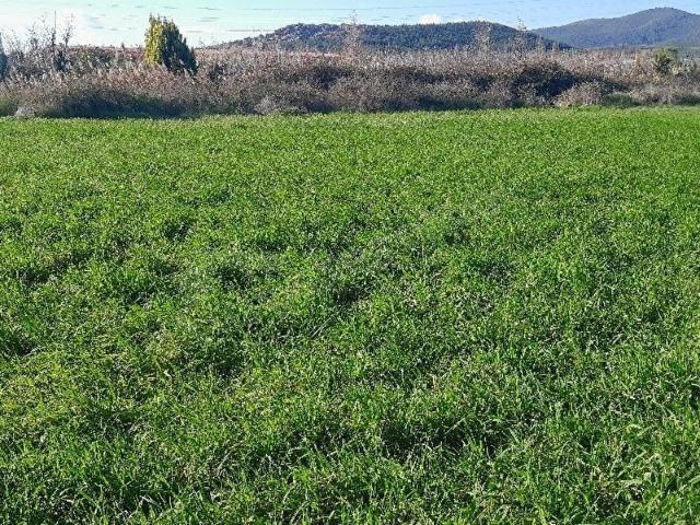 Tepeköy Mahallesi, Torbalı içerisinde satılık Arsa