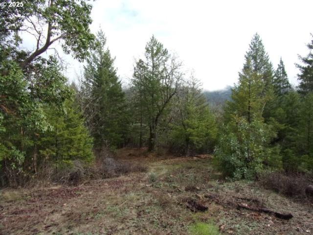 Land for sale in Oregonia