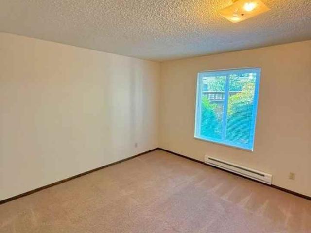 Apartment for rent in Hillwood, Shoreline