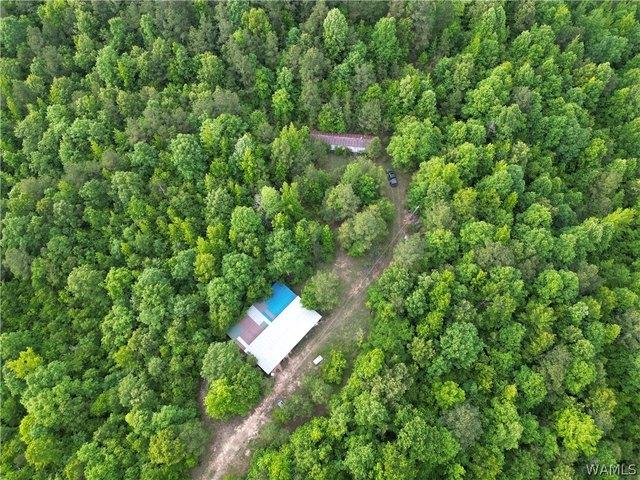 Land for sale in Kennedy, Alabama