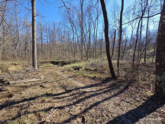 Land for sale in Carrollton, Ohio