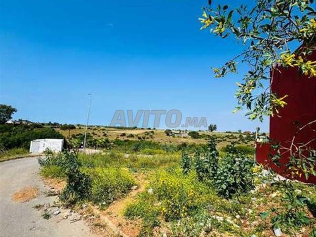 Propriété vente à Gharb-Chrarda-Beni Hssen