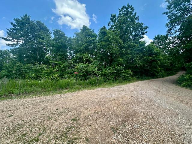 Land for sale in Shannon, Missouri