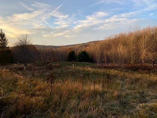 Land for sale in Andes, New York