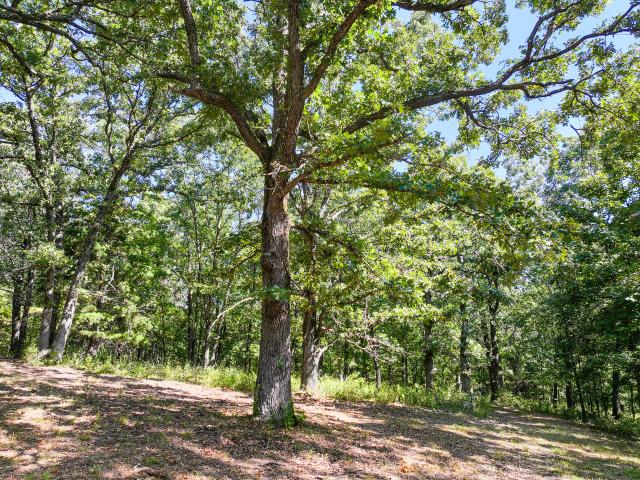 House for sale in Osceola, Missouri