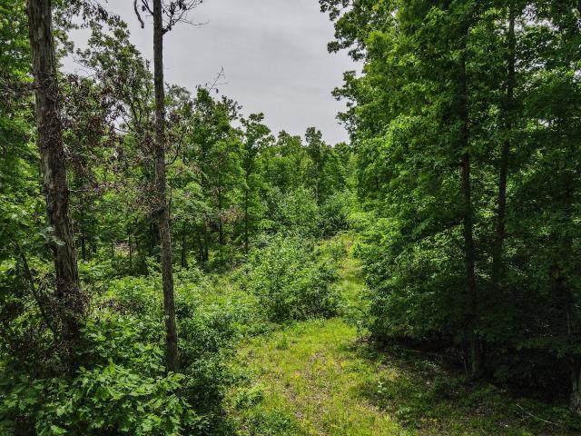Land for sale in Tennessee