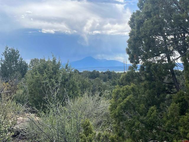 Land for sale in Montezuma, Colorado