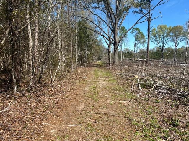 Land for sale in Greeleyville, South Carolina