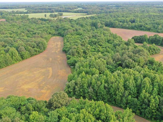 Land for sale in Tennessee