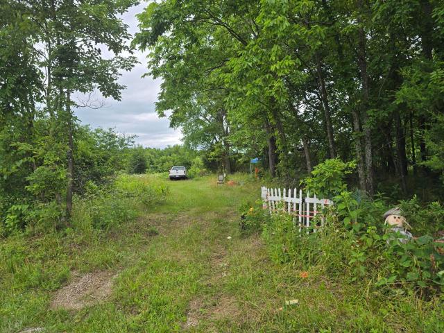 Land for sale in Pierce City, Missouri