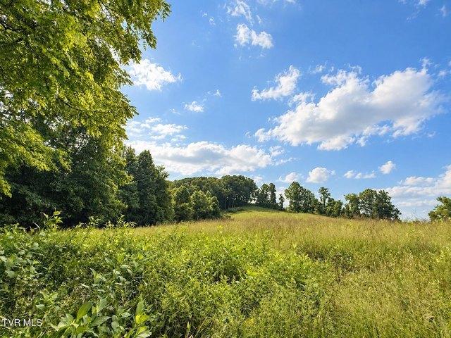 Land for sale in Gate City, Scott County