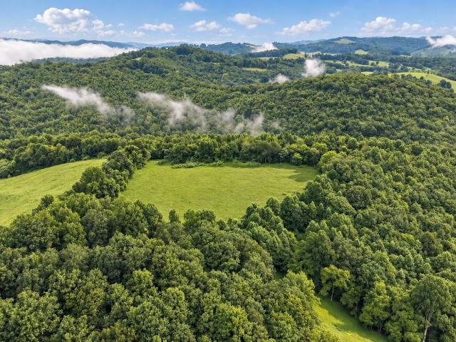 Land for sale in Gate City, Scott County