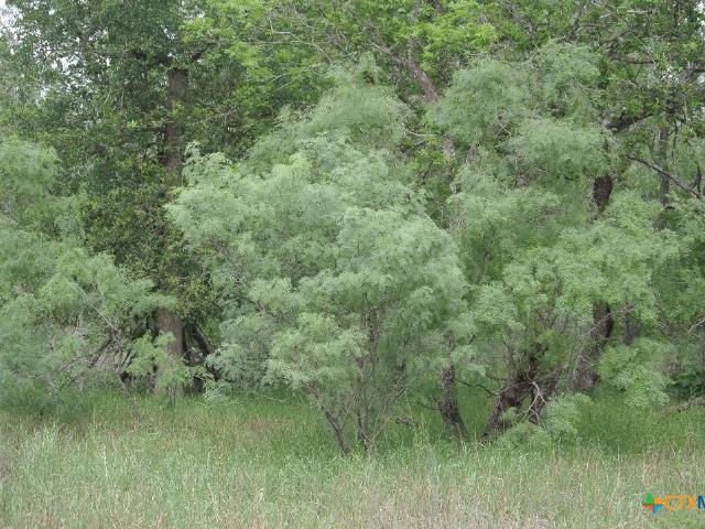 Land for sale in Kingsbury, Texas