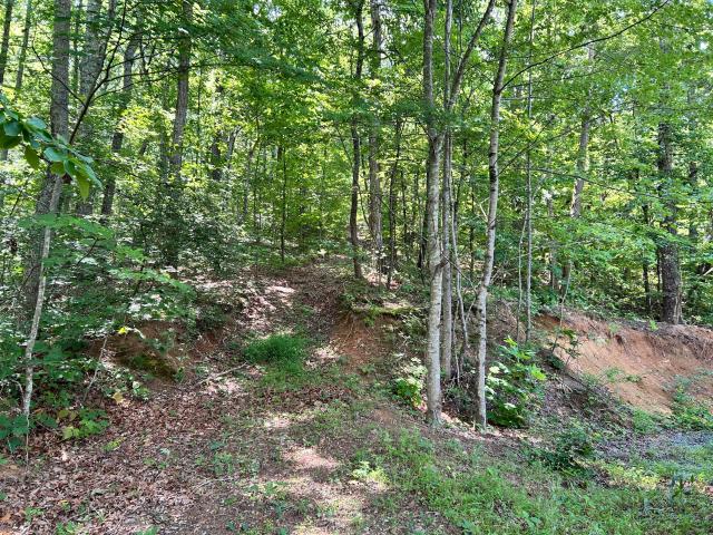 Land for sale in Tennessee