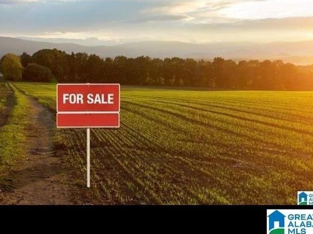 Land for sale in Springville, Alabama