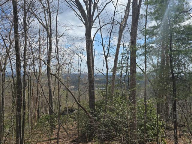 Land for sale in Hendersonville, North Carolina