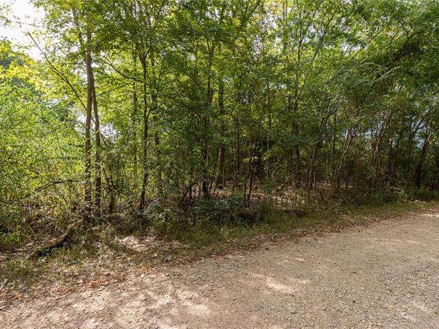 Land for sale in Bullard, Texas