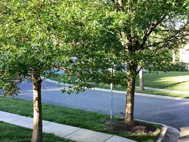 Townhouse for sale in Cecil, Maryland