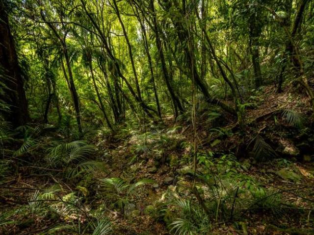 Property for sale in Cable Bay, Nelson Bays