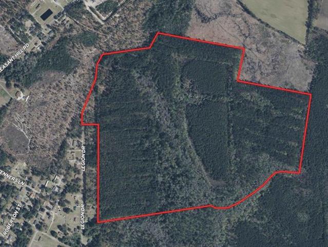 Land for sale in Dillon, South Carolina