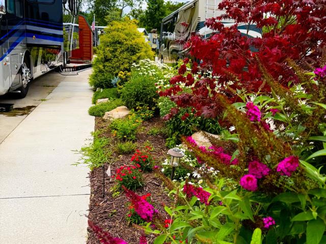 Land for sale in Blairsville, Georgia
