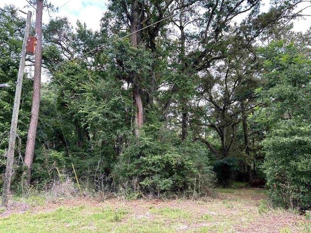 Land for sale in Crawfordville, Florida