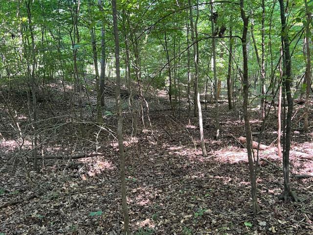Land for sale in Covington, Newton County