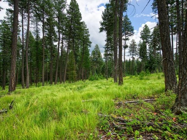Land for sale in Whitefish, Montana