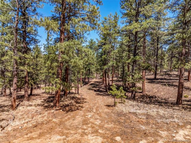 Land for sale in Custer, Colorado