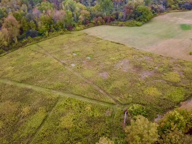 Land for sale in Buskirk, New York