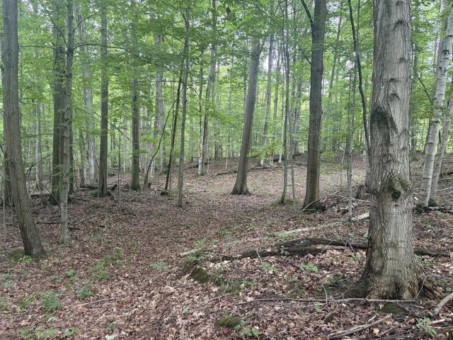 Land for sale in Arcadia, Michigan