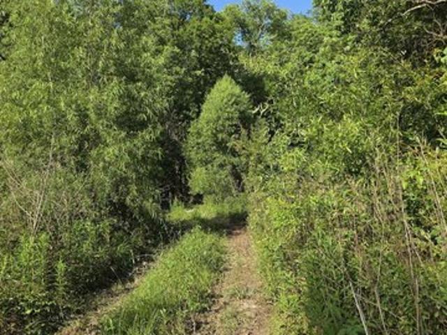 Land for sale in Prairieville, Louisiana