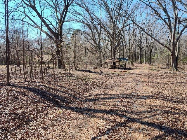 Land for sale in Elbert, Georgia