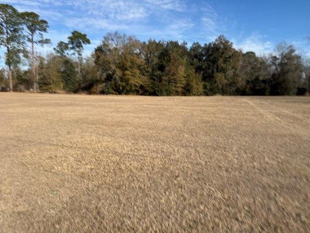 Land for sale in Moultrie, Georgia