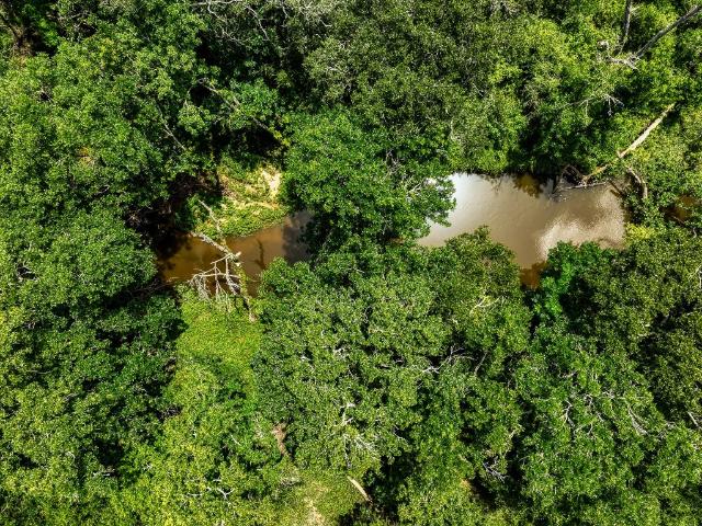 Land for sale in Altair, Texas